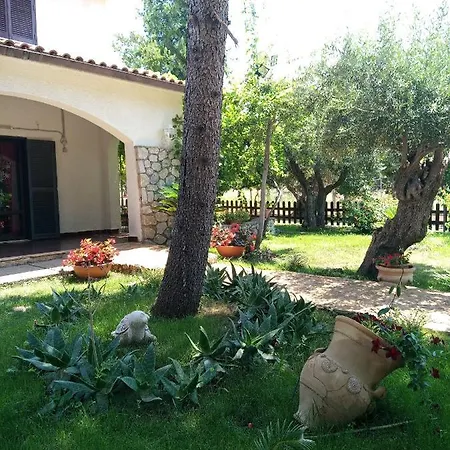 The Olive's Hill Bed & Breakfast *