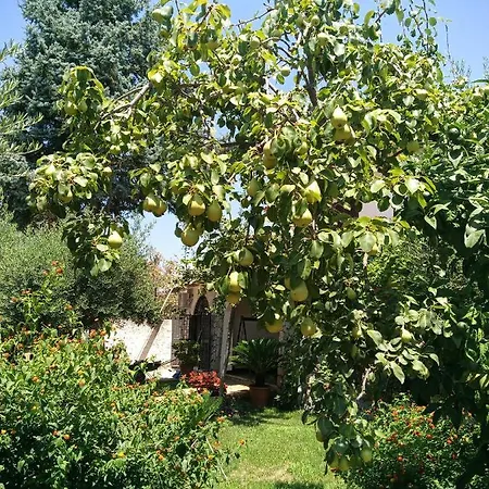 The Olive's Hill Scalea