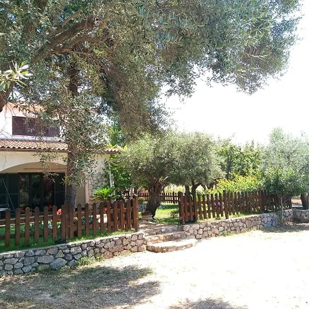 The Olive's Hill *