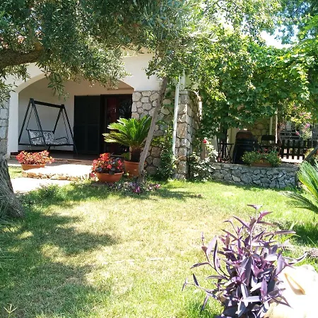 Bed & Breakfast The Olive's Hill Scalea