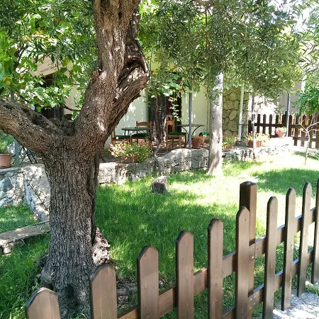 The Olive's Hill *